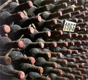Tuscany and its Wines