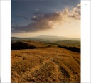 Tuscany and its Wines