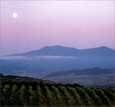 Tuscany and its Wines