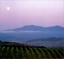 Tuscany and its Wines